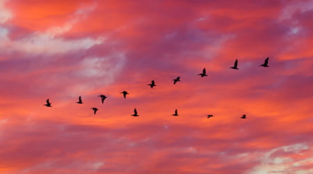 JFrog Artifactory on AWS: Migration Best Practices