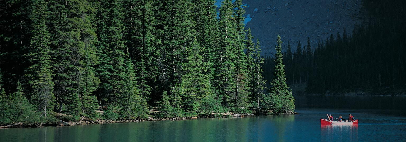 forest and boat on river