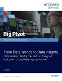 Bug pivot report screenshot